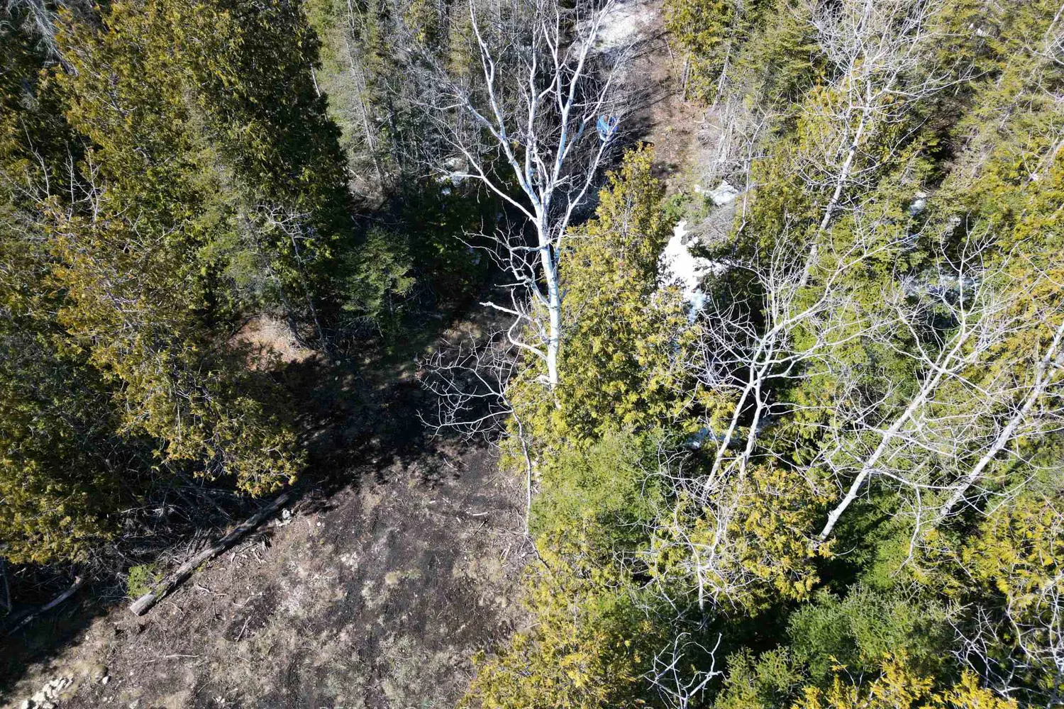 Additional image 5 of 31 Baise Avenue