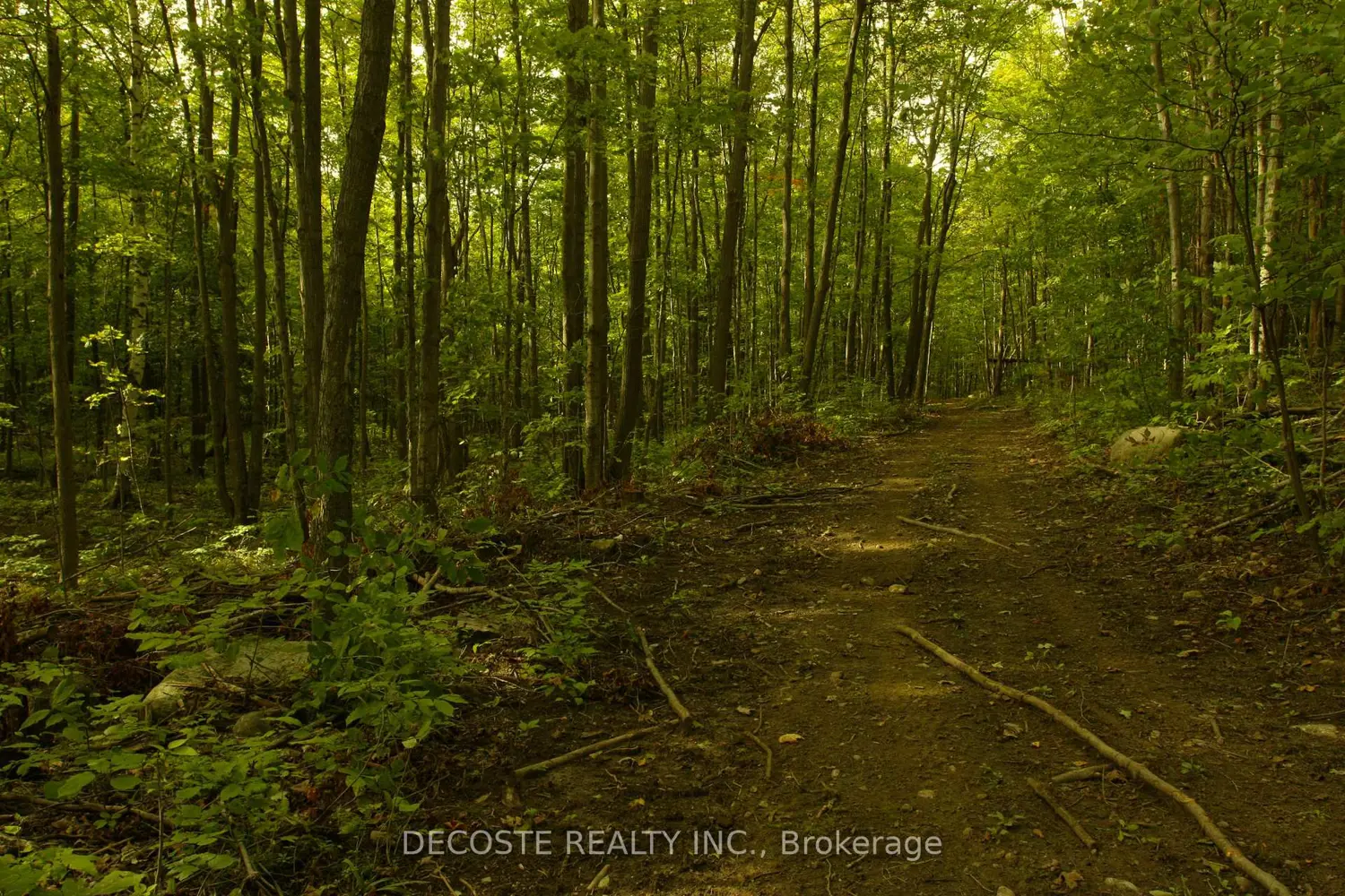 Additional image 16 of 0000 County 43 Road