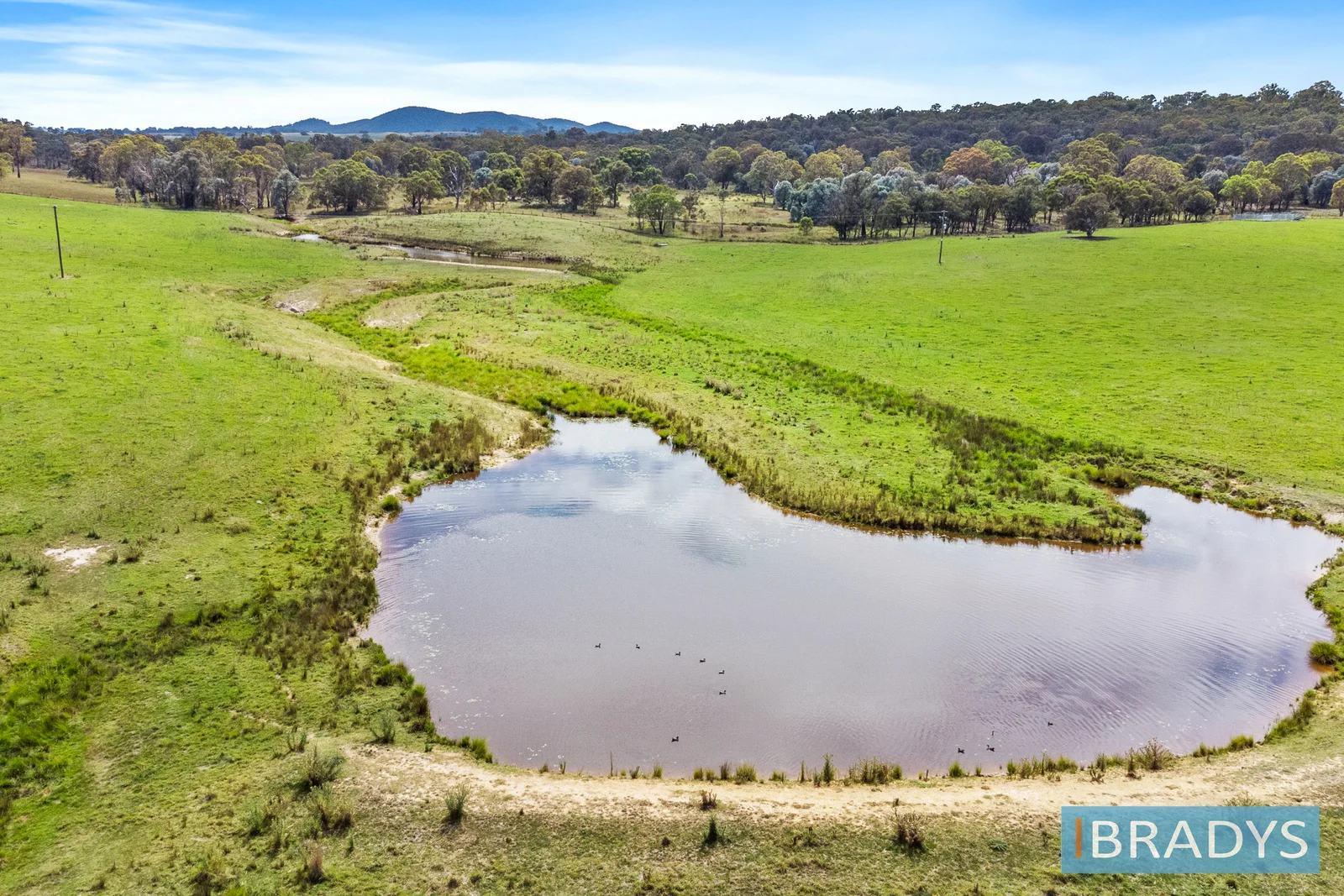 Additional image 5 of 4348 Gundaroo Road, Gundaroo NSW 2620