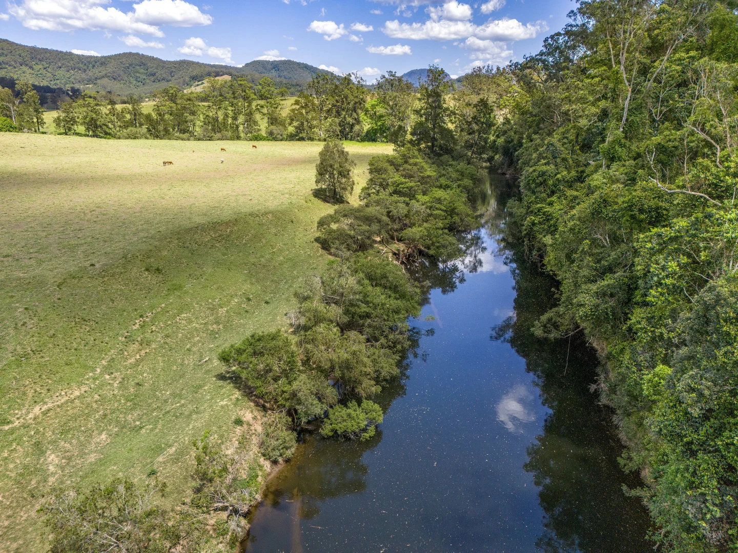 Additional image 22 of Lot 1/40 Carsons Rd, Upper Taylors Arm NSW 2447