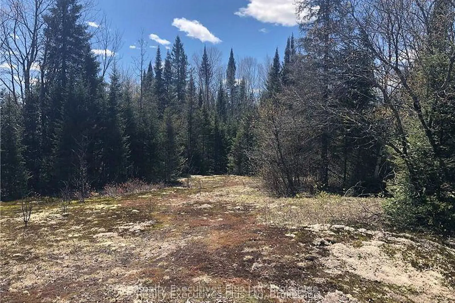 Additional image 6 of 00 Pickerel & Jack Lake Road