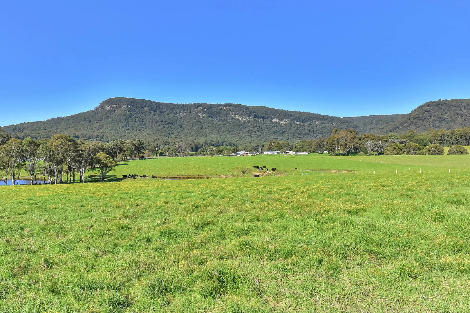 Additional image 23 of 289 Heaton Road, Quorrobolong NSW 2325