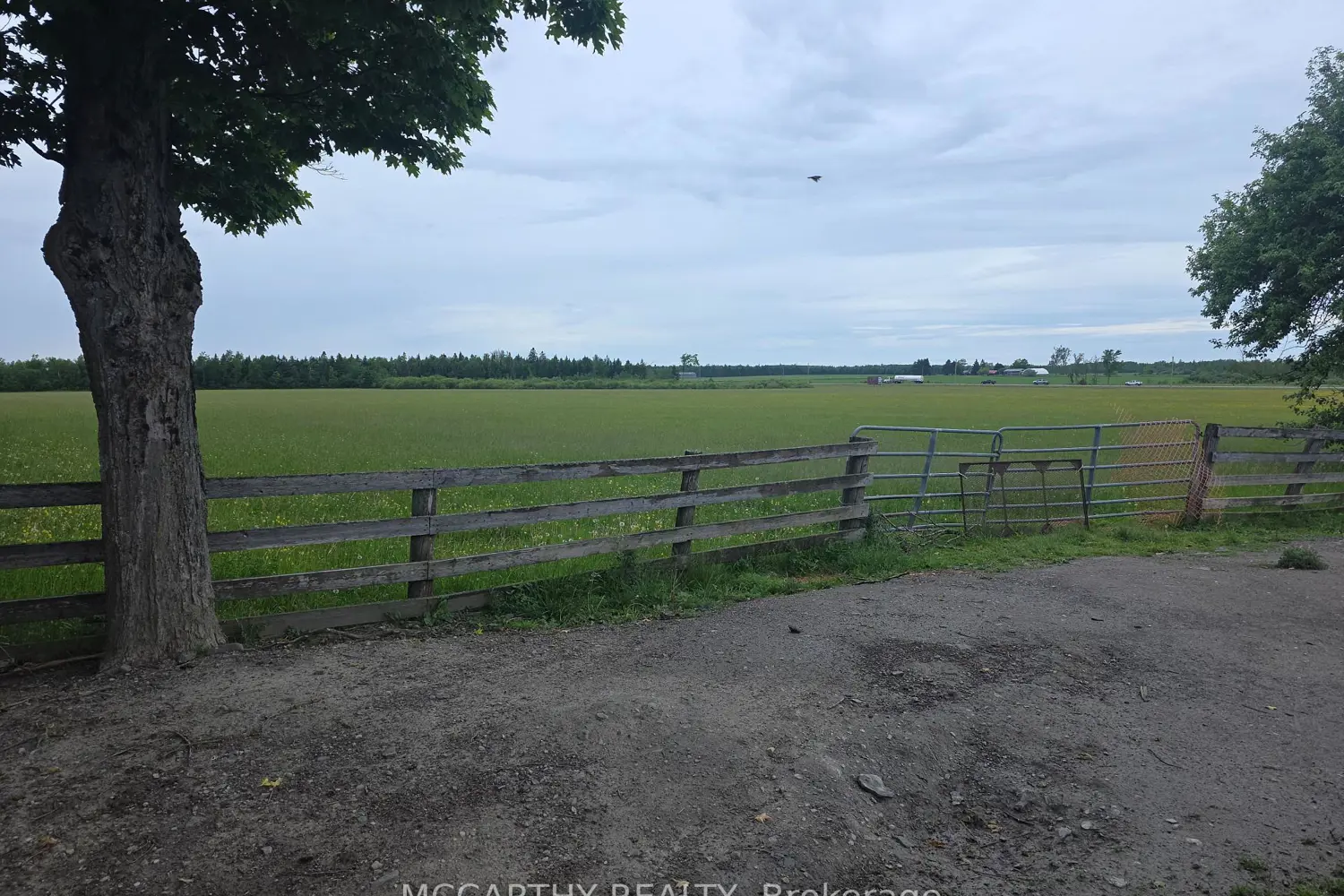 Additional image 5 of 501098 Hwy 89