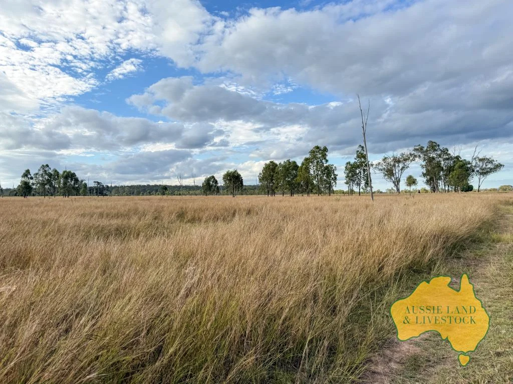 Additional image 42 of 8 SCREENING PLANT ROAD, Cynthia QLD 4627