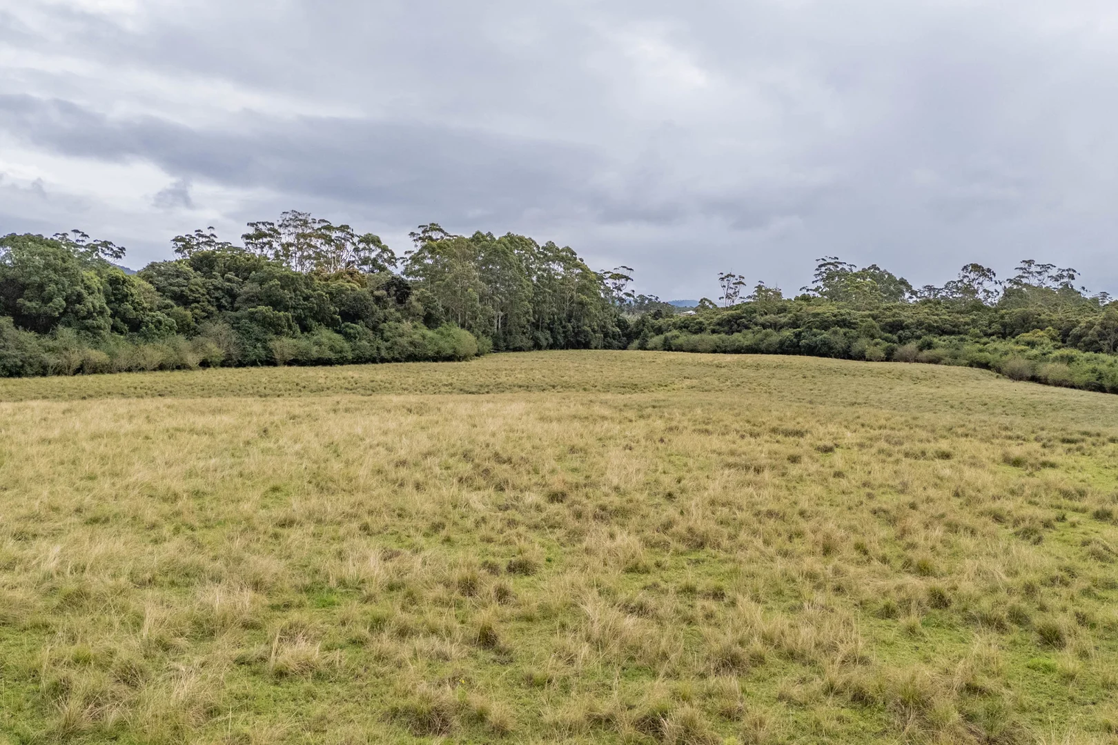 Additional image 4 of 5 Jenkinson Place, Nana Glen NSW 2450