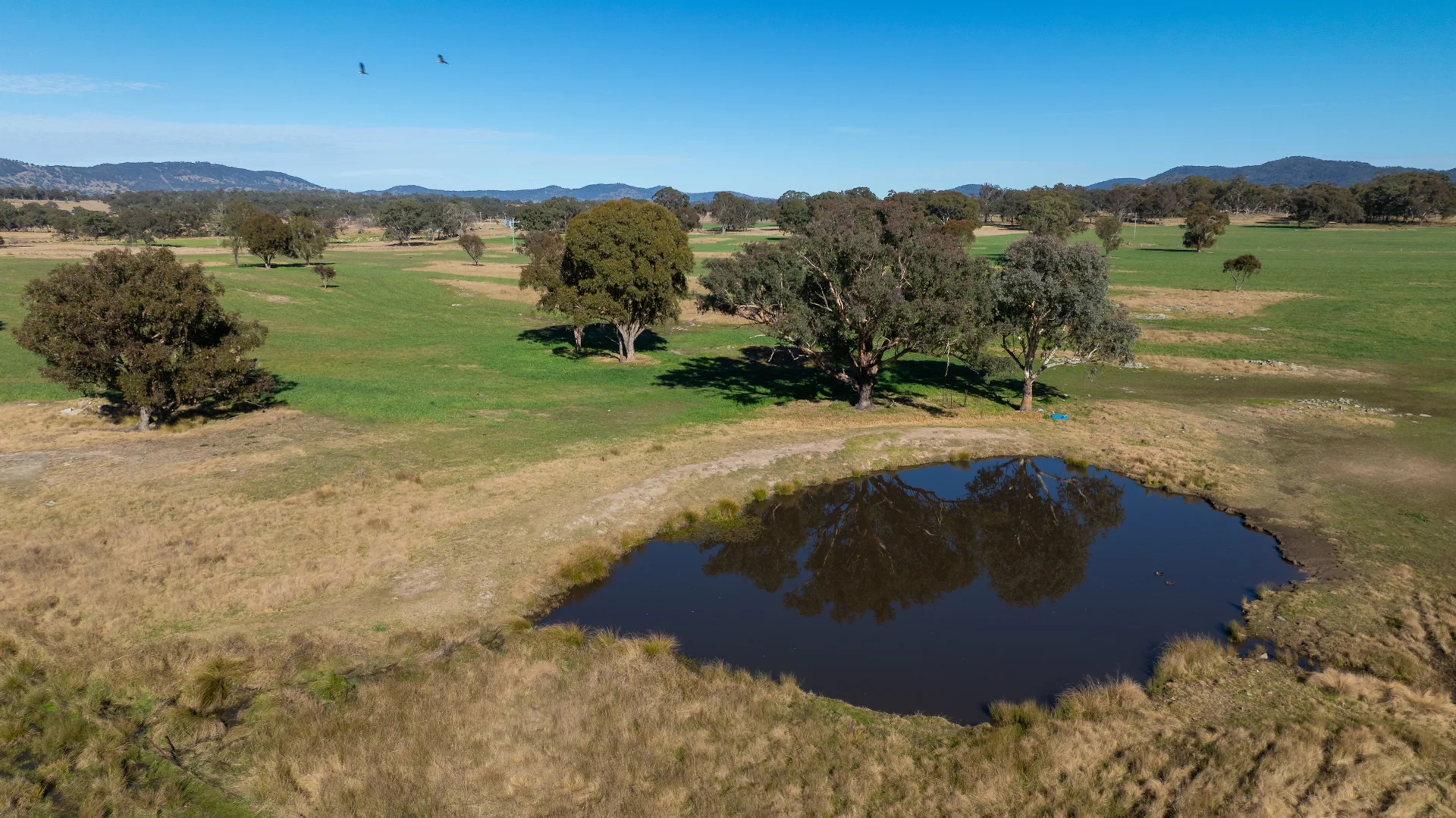 Additional image 18 of 214 Tarban Loop Road, Tenterfield NSW 2372