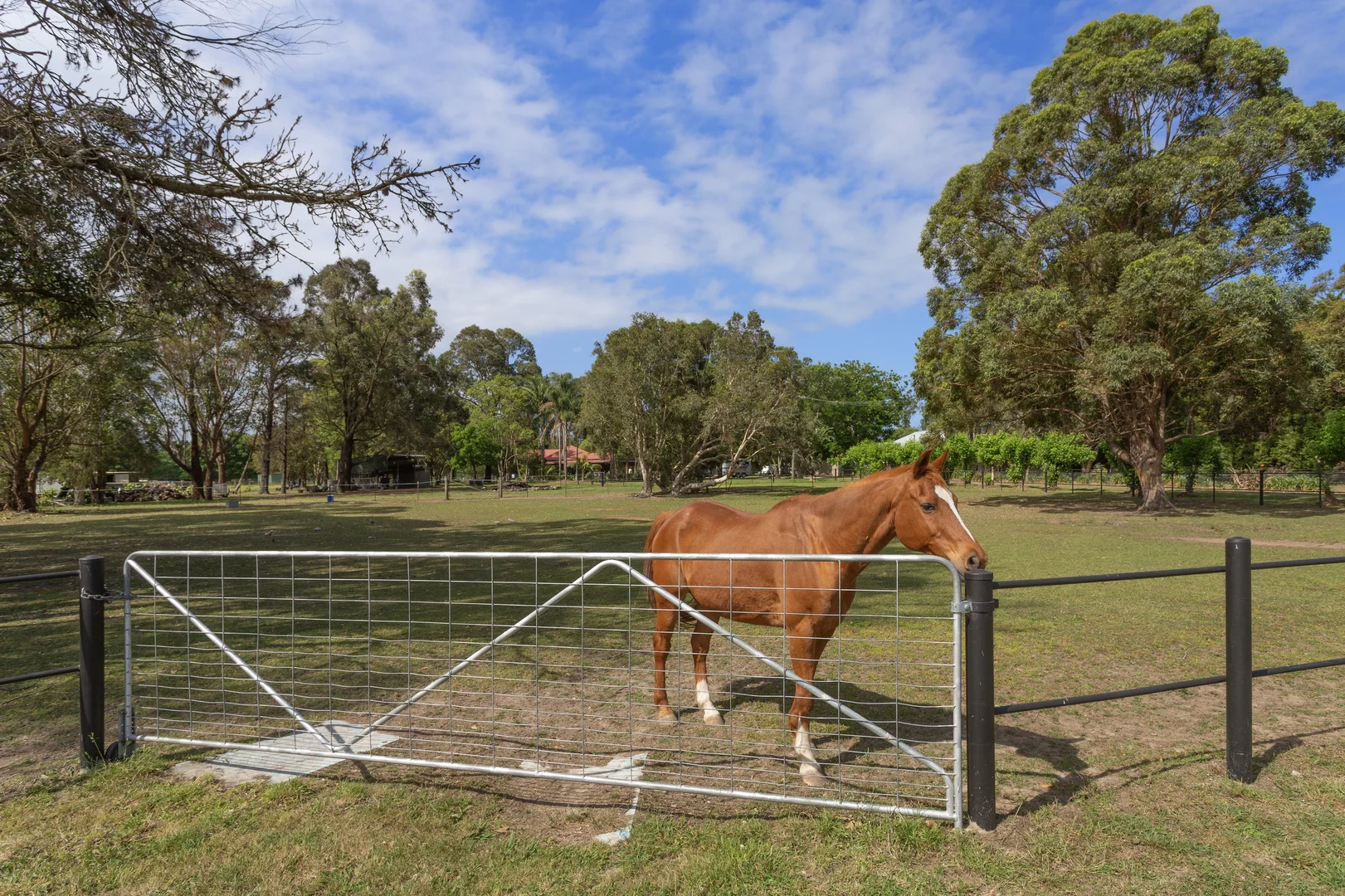 Additional image 4 of 95 Jaspers Brush Road, Jaspers Brush NSW 2535