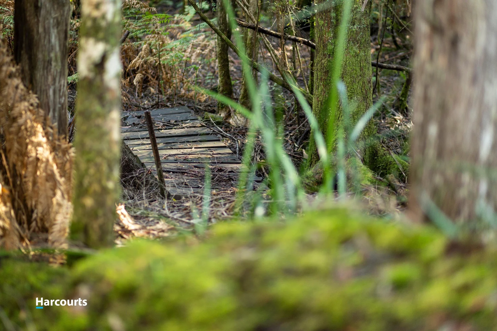 Additional image 18 of 170 Cockle Creek Road, Recherche TAS 7109