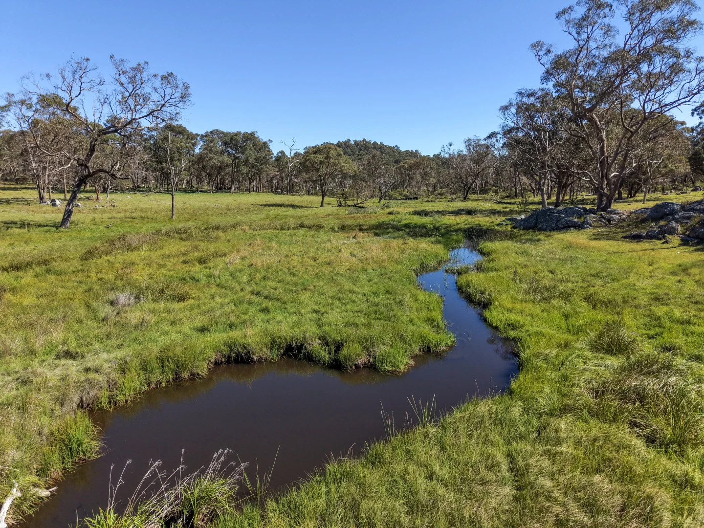 Additional image 32 of 2153 Mount Lindesay Road, Tenterfield NSW 2372