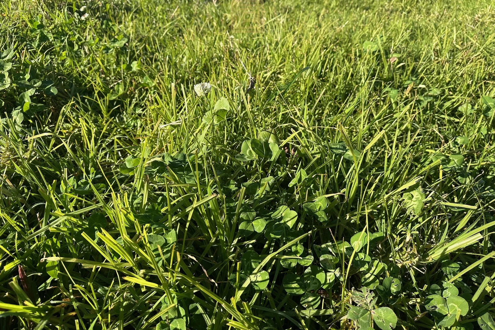 Additional image 36 of 84 Wallanbah Road, Gloucester NSW 2422