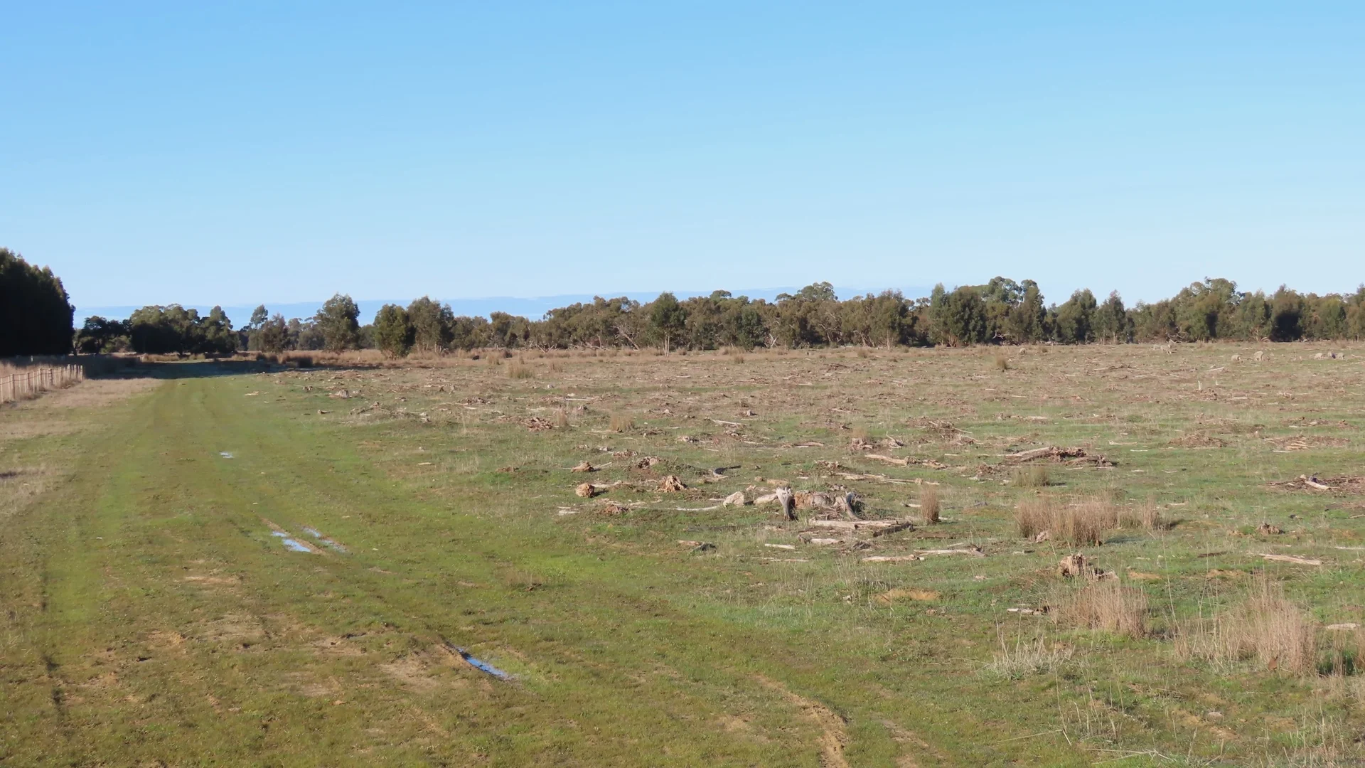 Additional image 6 of 225 Coles-Killanoola Road, Coles SA 5272