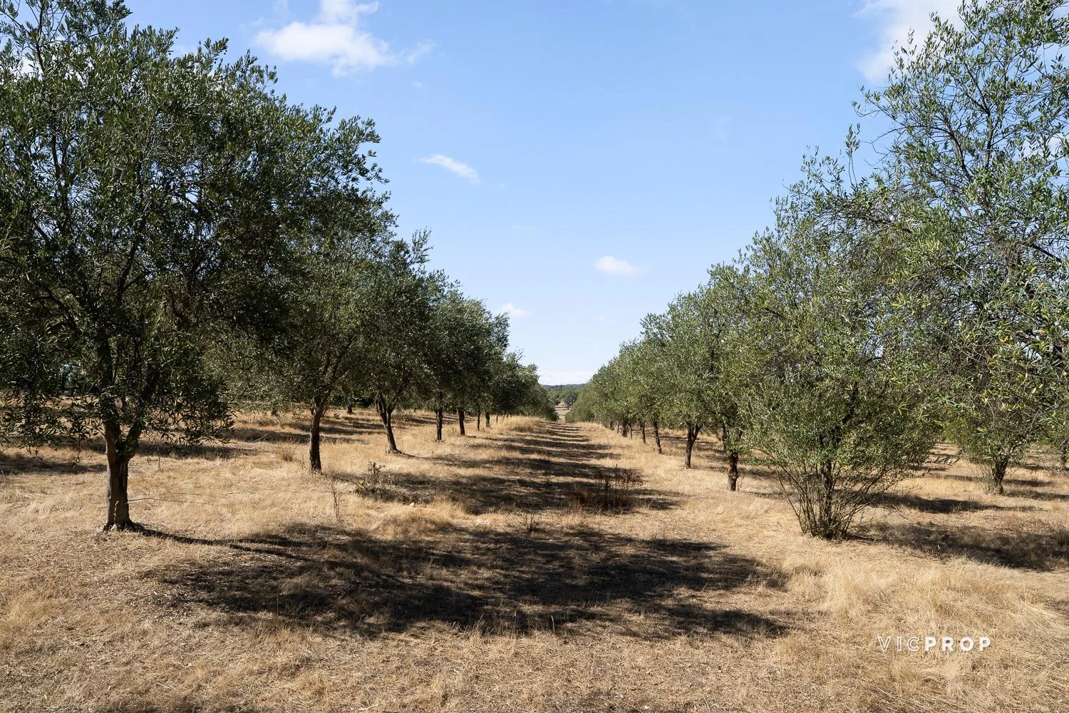 Additional image 6 of 3 Lewis Road, Ladys Pass VIC 3523