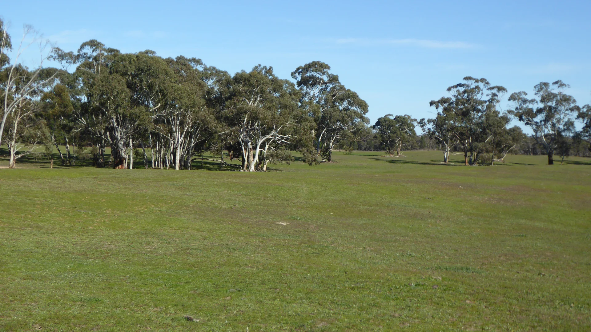 Additional image 26 of 2147 Bangham Road, Frances SA 5262