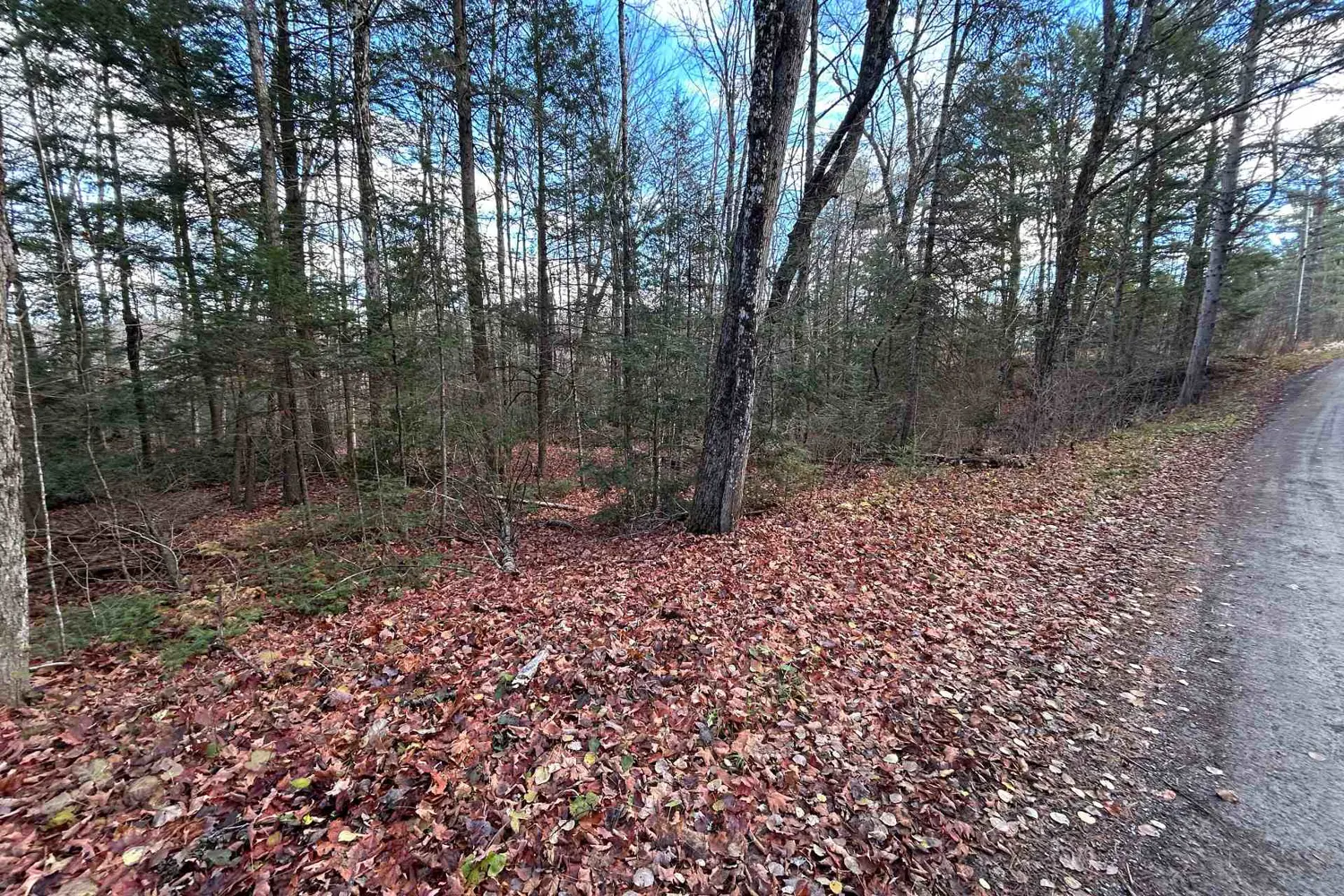 Additional image 7 of 0 Mill Lake Road