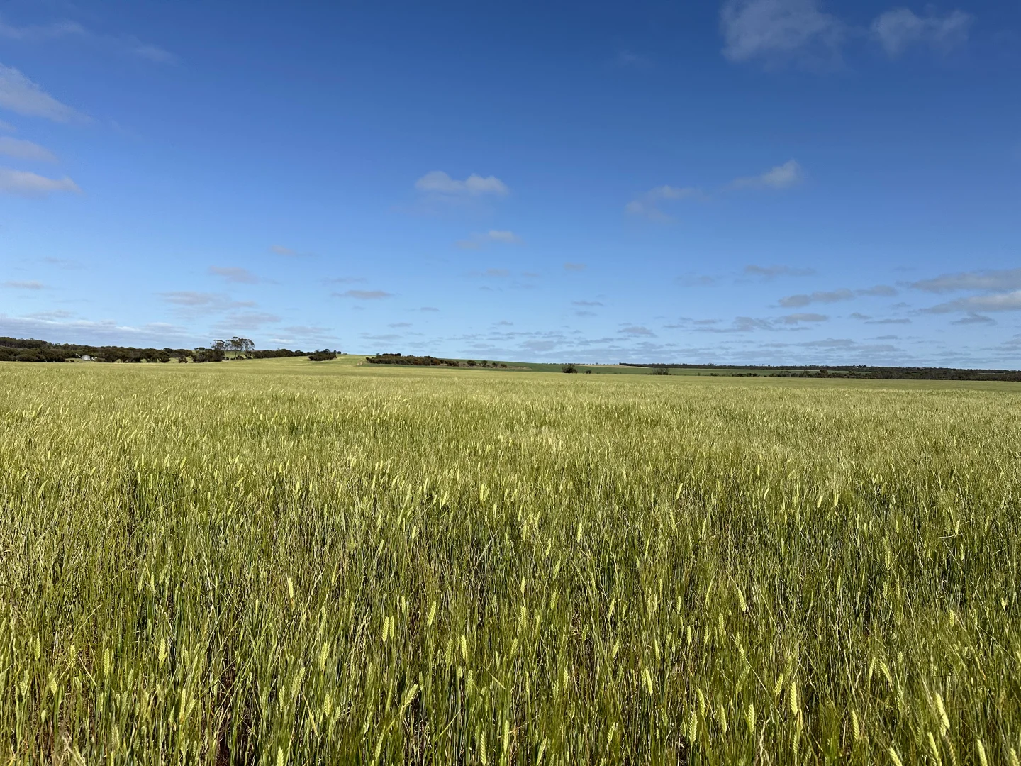 Additional image 4 of 2501 Hyden Norseman Road, Hyden WA 6359