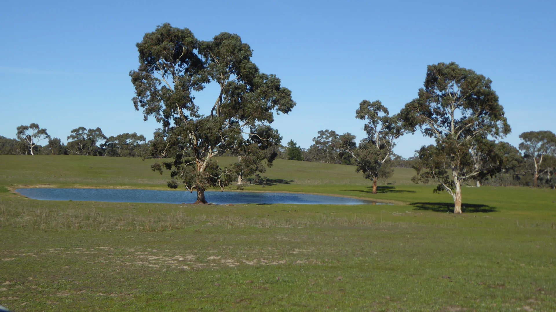 Additional image 2 of 2147 Bangham Road, Frances SA 5262