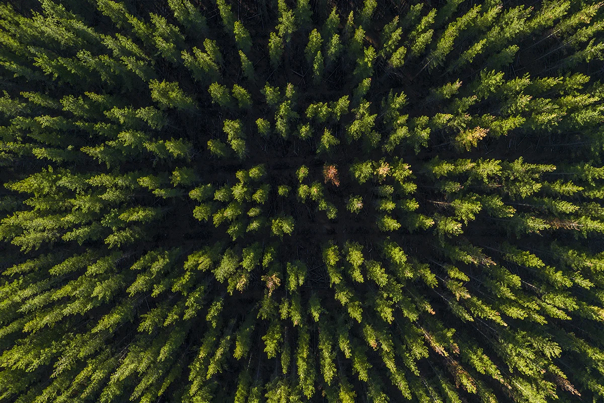 125 Moonlight Road, Killara VIC 3312