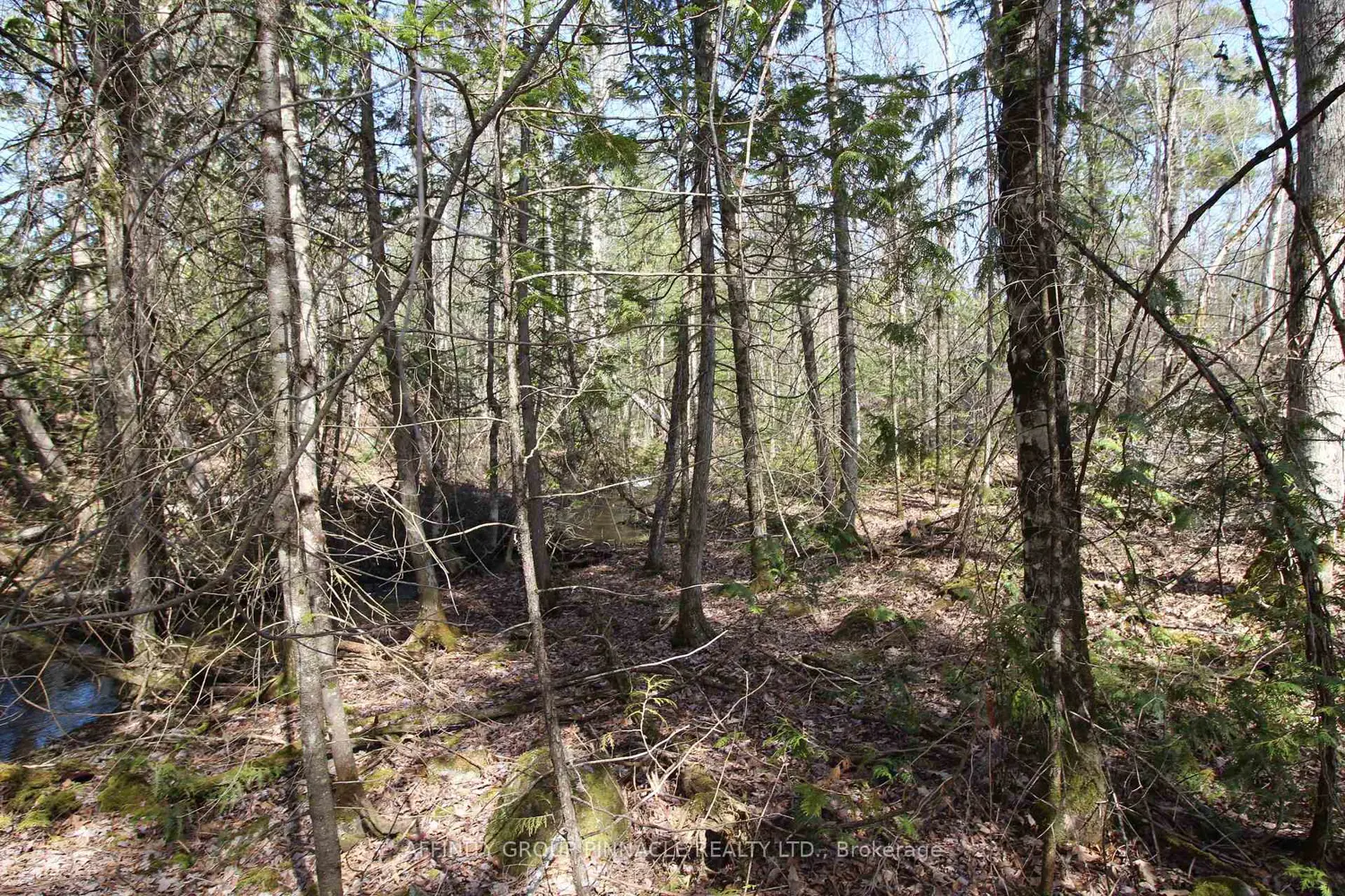 Additional image 4 of Lot 15 Concession 9