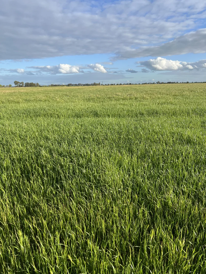 Additional image 4 of 8499 Murray Valley Highway, Kerang East VIC 3579
