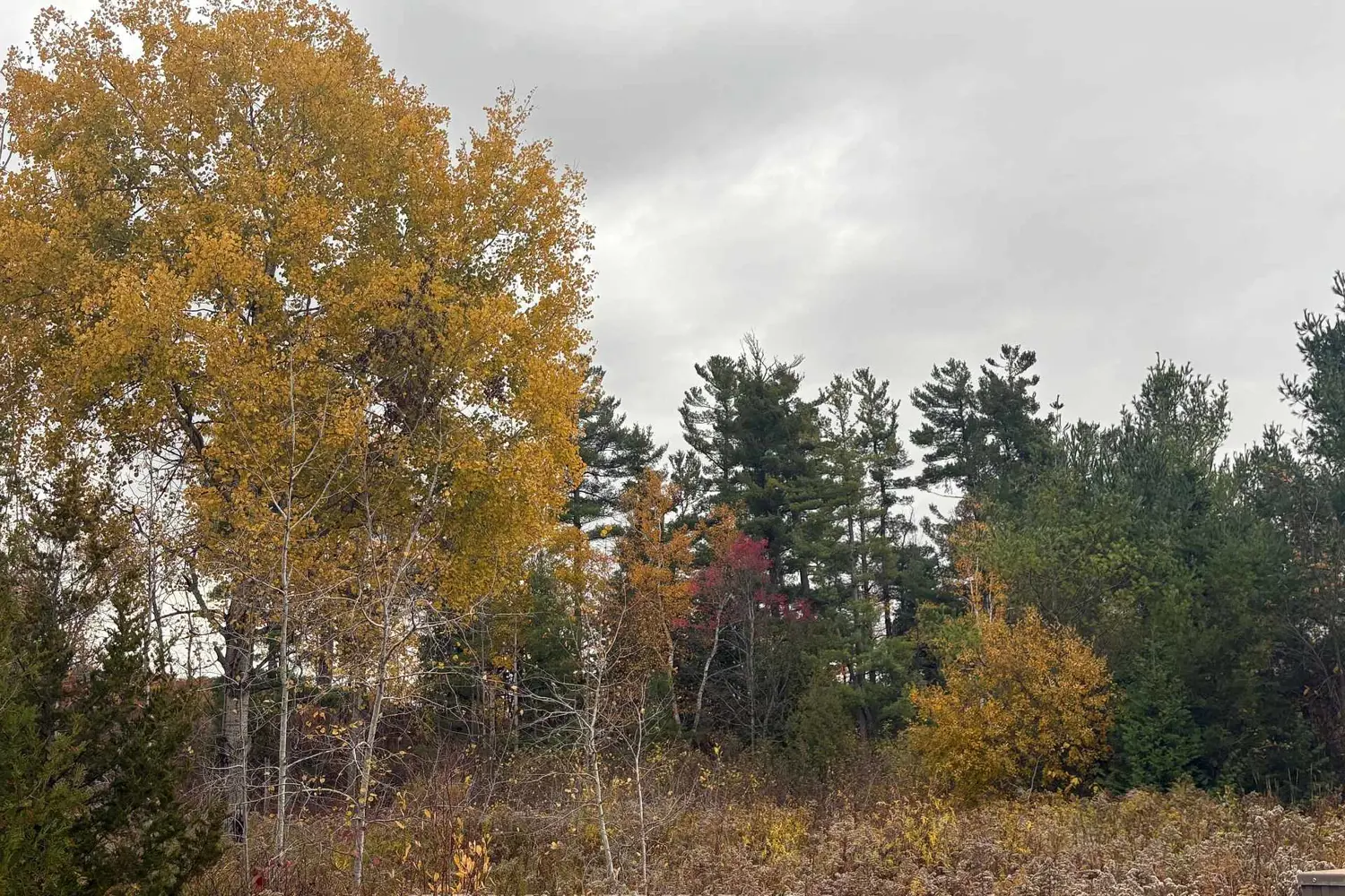 Additional image 4 of 0 Godolphin Road