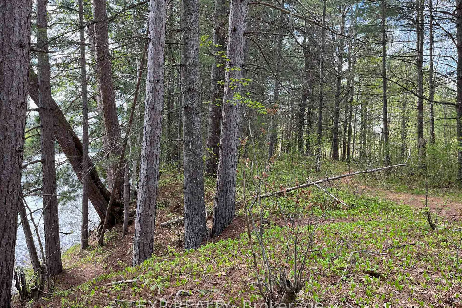 Additional image 5 of Lot 30 Sandy Shores Trail