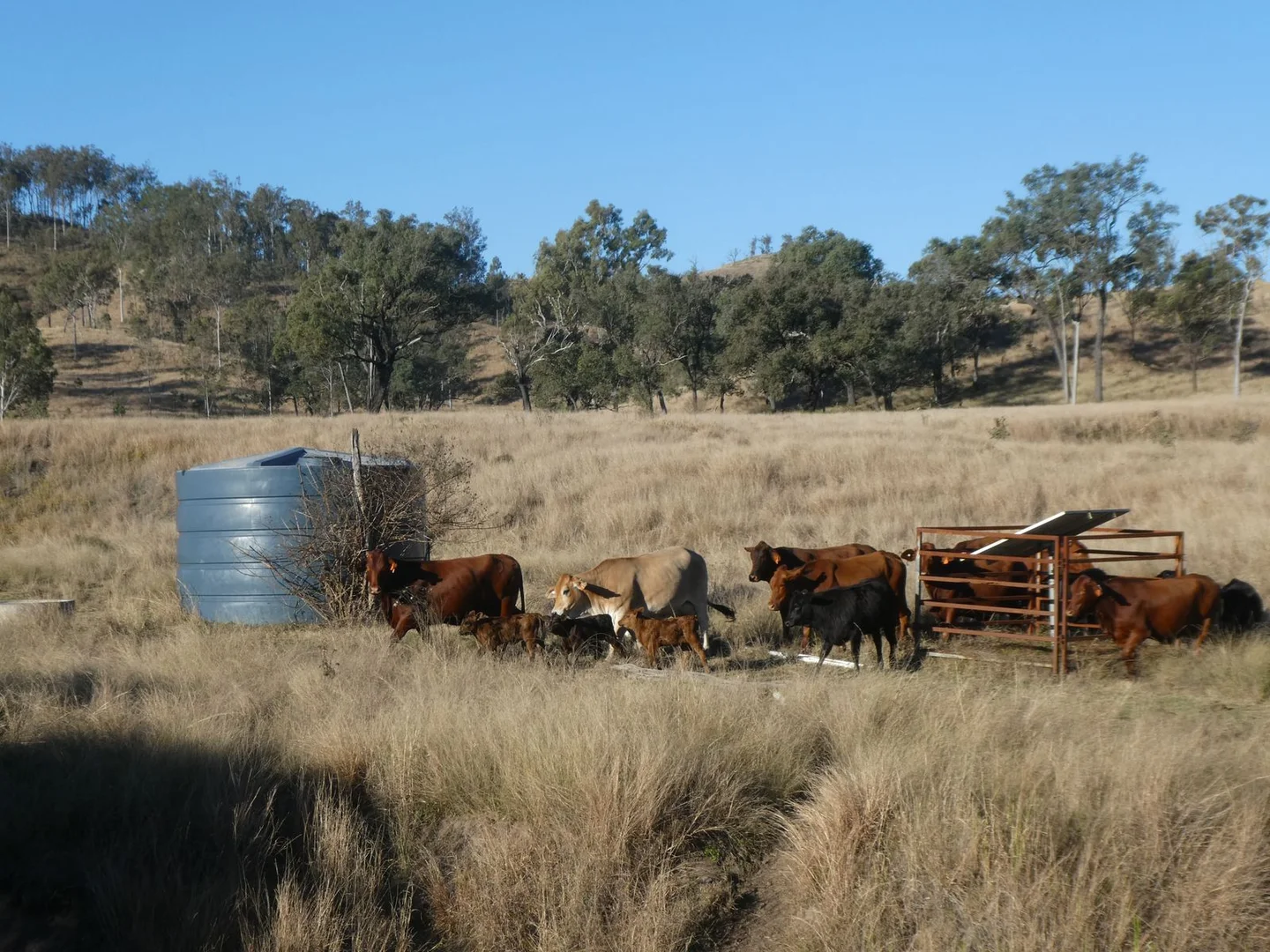 Additional image 6 of 4 Lots/NRN Monto Mount Perry Road, Mungy QLD 4671