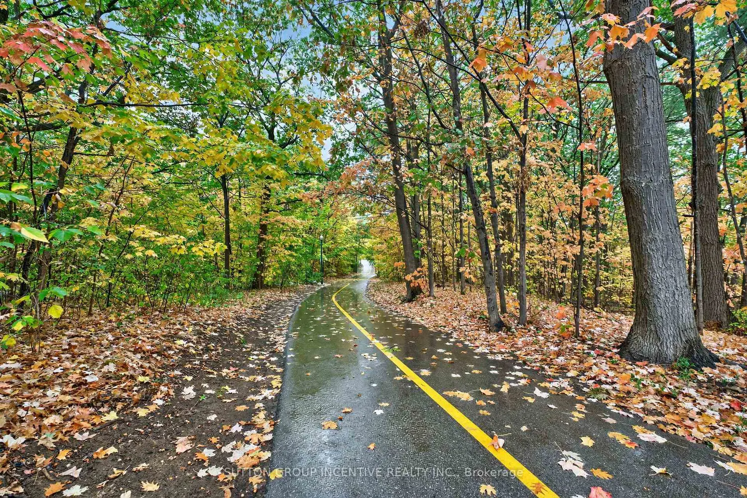 Additional image 20 of 23 White Oaks Road