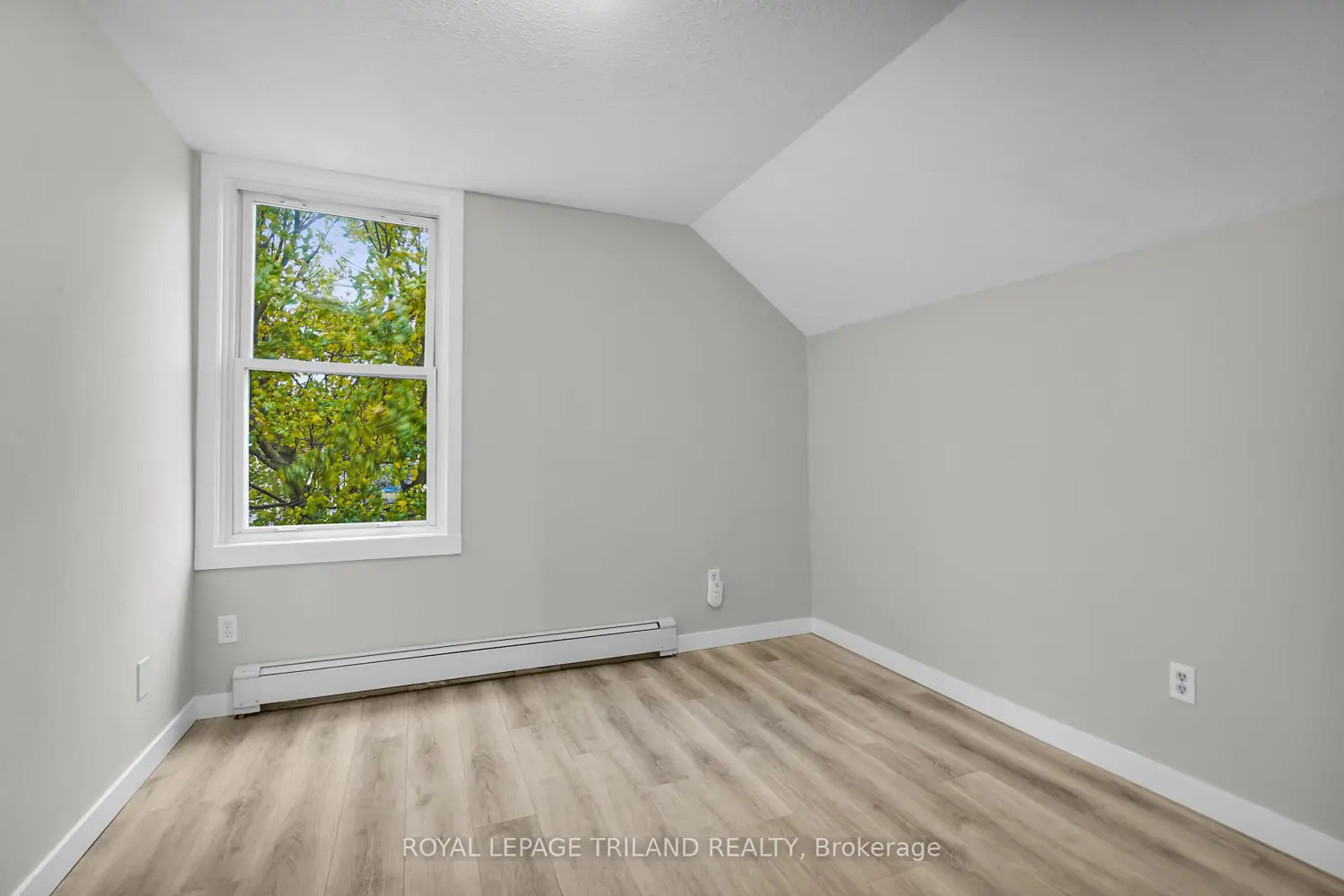 Additional image 5 of 784 Little Grey Street