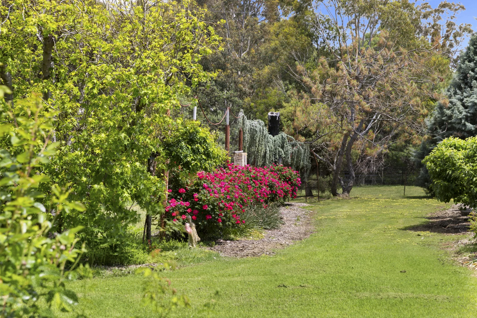 Additional image 5 of 550 Mcdonalds Road, Clonbinane VIC 3658