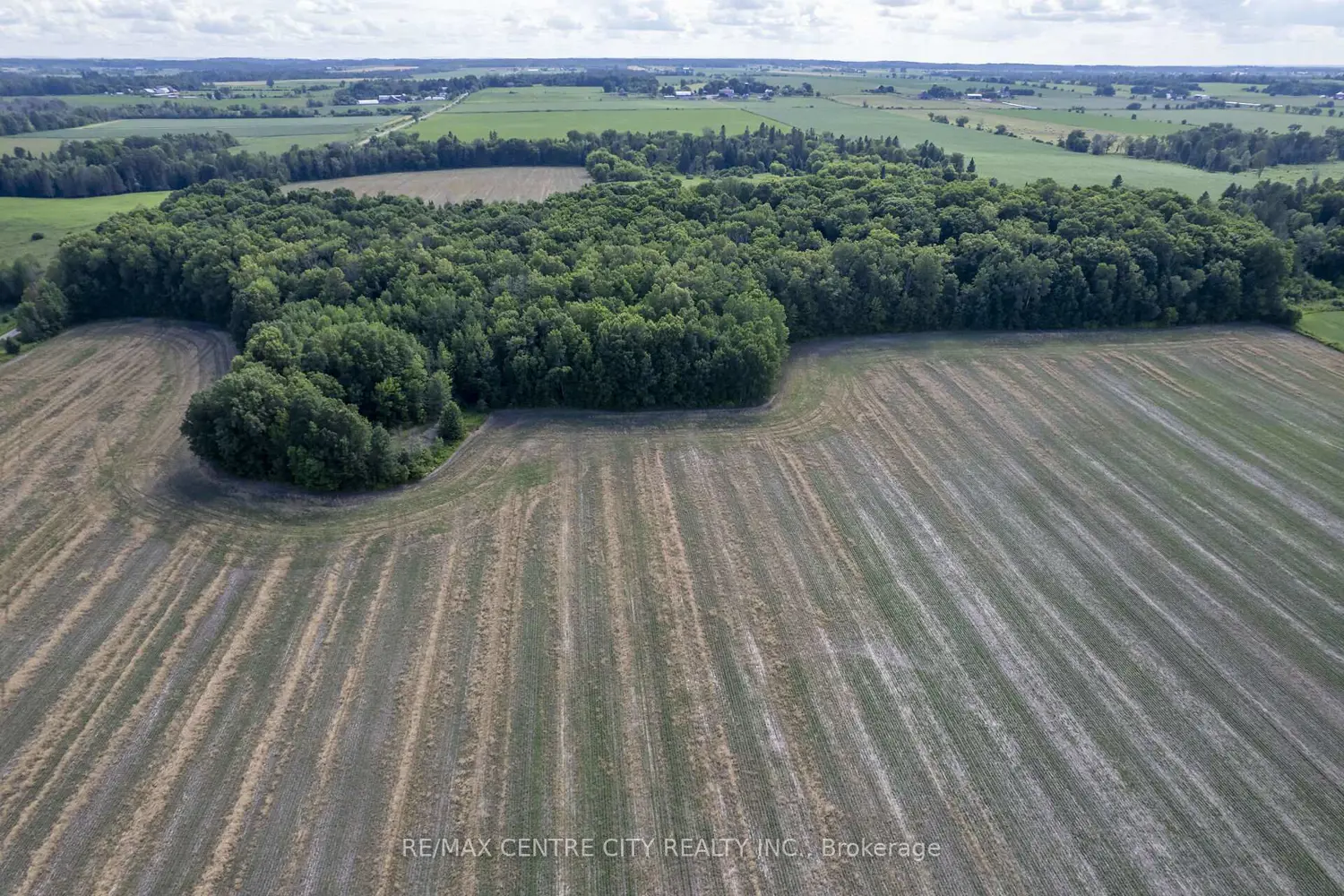 Additional image 9 of Pt Lts 38 & 39 Conc 9