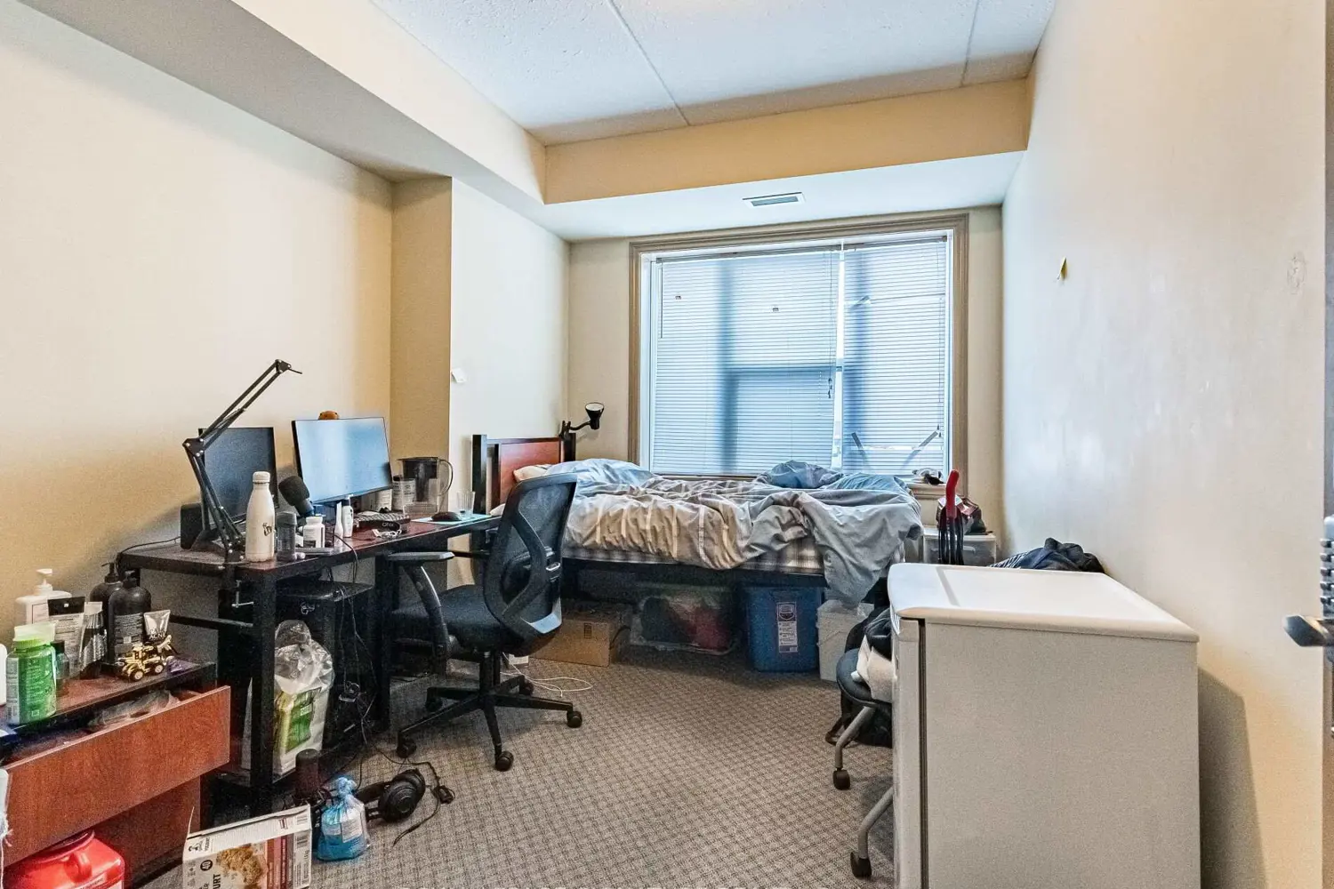 Additional image 10 of 251 Lester Street 203