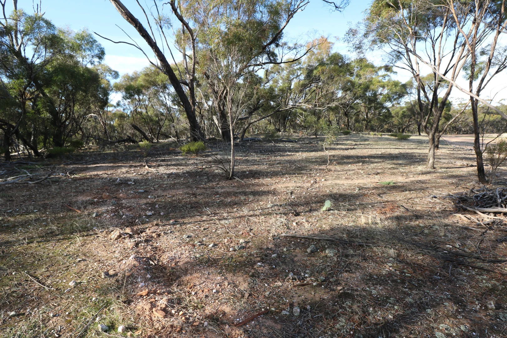 Additional image 31 of 84A Woolshed Flat Road, Wychitella VIC 3525