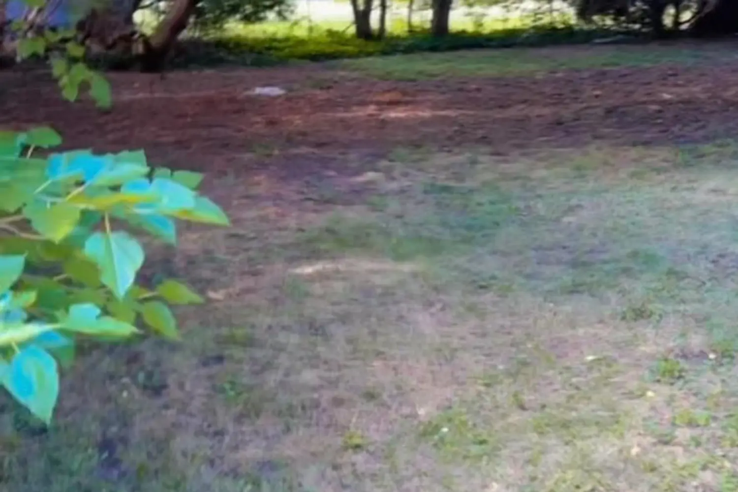 Additional image 3 of 1200 Huron Street