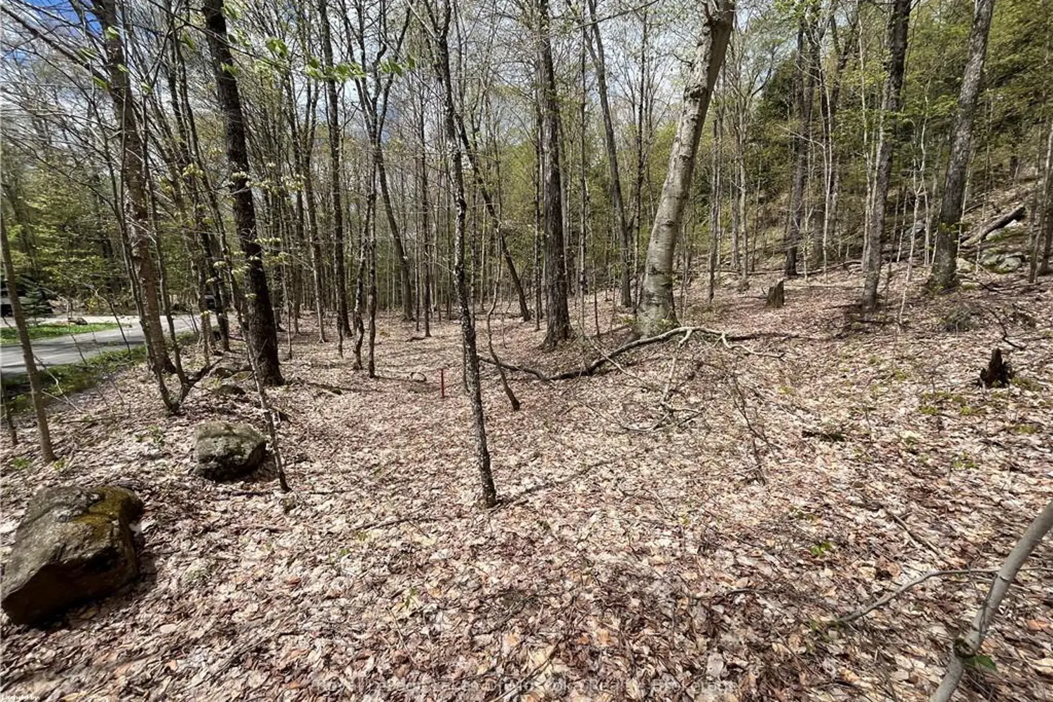 Additional image 7 of Lot 133 Brennan Circle