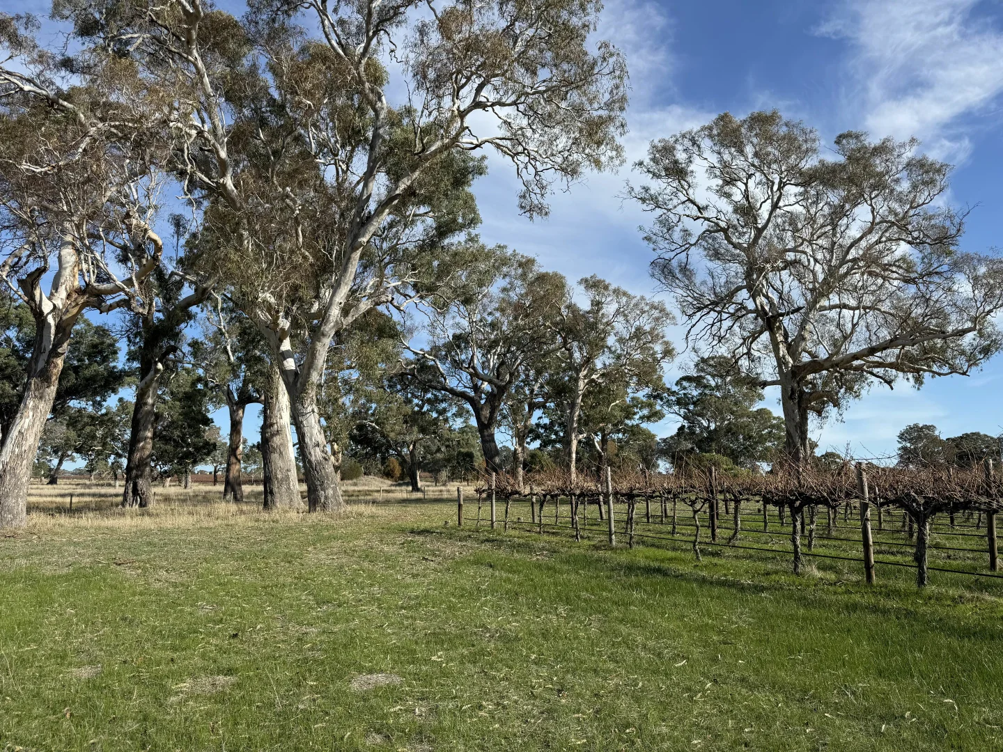 Additional image 5 of Lot 104 Dergholm Road, Penola SA 5277