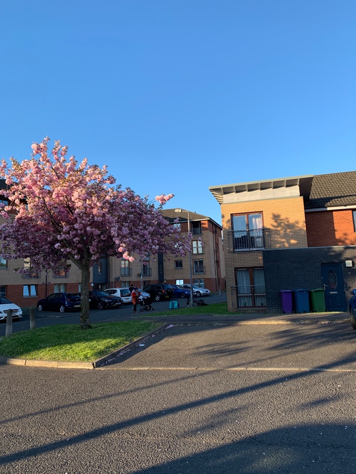 Additional image 11 of 2 Bed Flat, Dalmarnock Drive, G40, N1 7GU