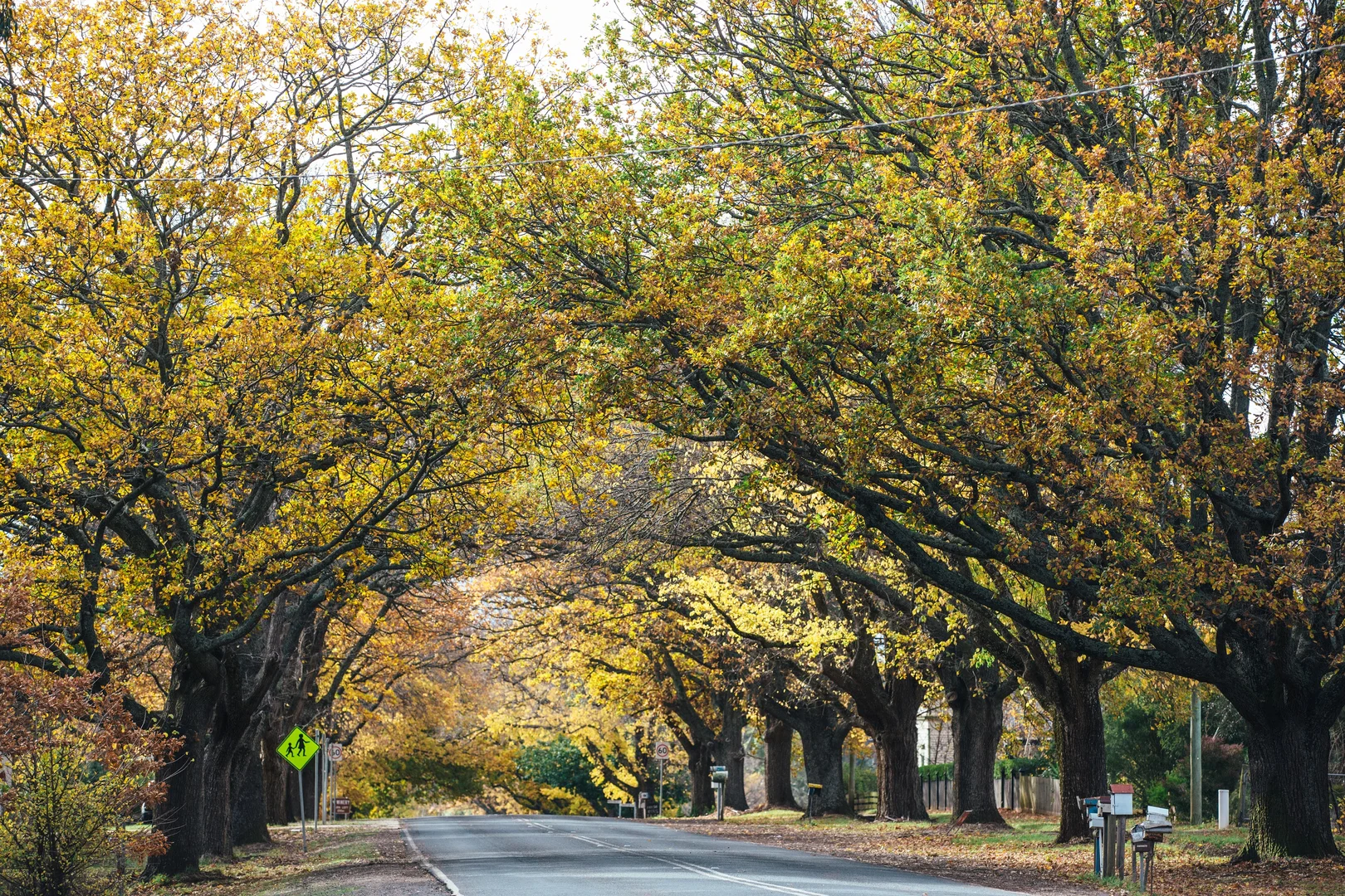 Additional image 19 of 1/104 Holcombe Road, Glenlyon VIC 3461