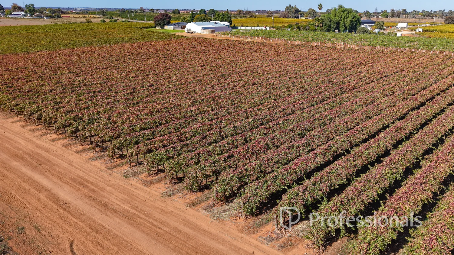 Additional image 12 of 225 Stewart Road, Red Cliffs VIC 3496