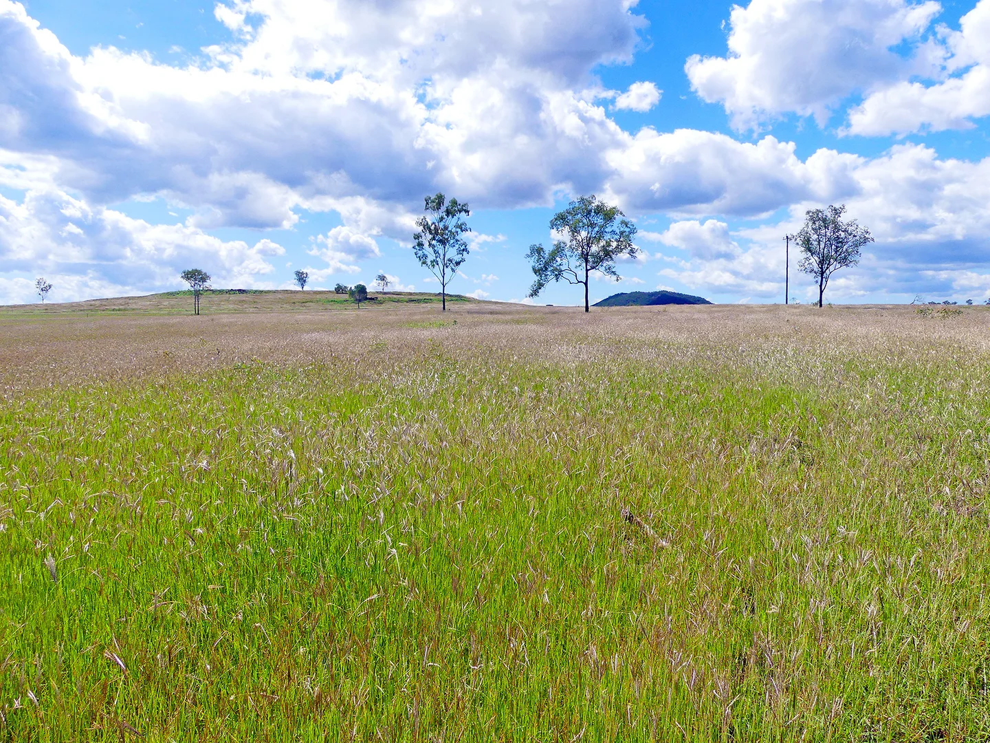 Additional image 15 of Lot 14,45,48,51,58 Capricorn Highway, Westwood QLD 4702