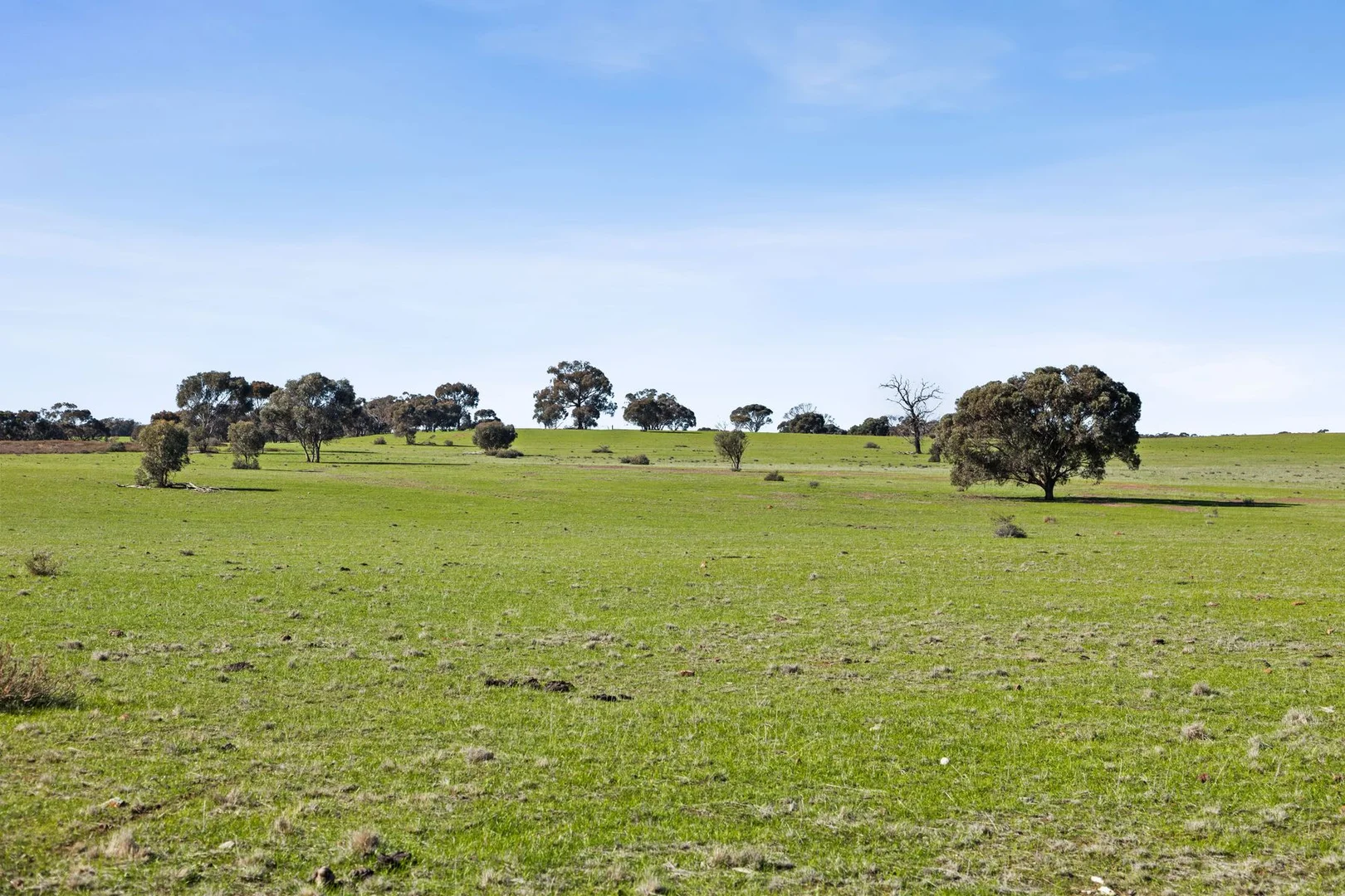 Additional image 6 of Lot 1/753 Clays Road, Bagshot North VIC 3551