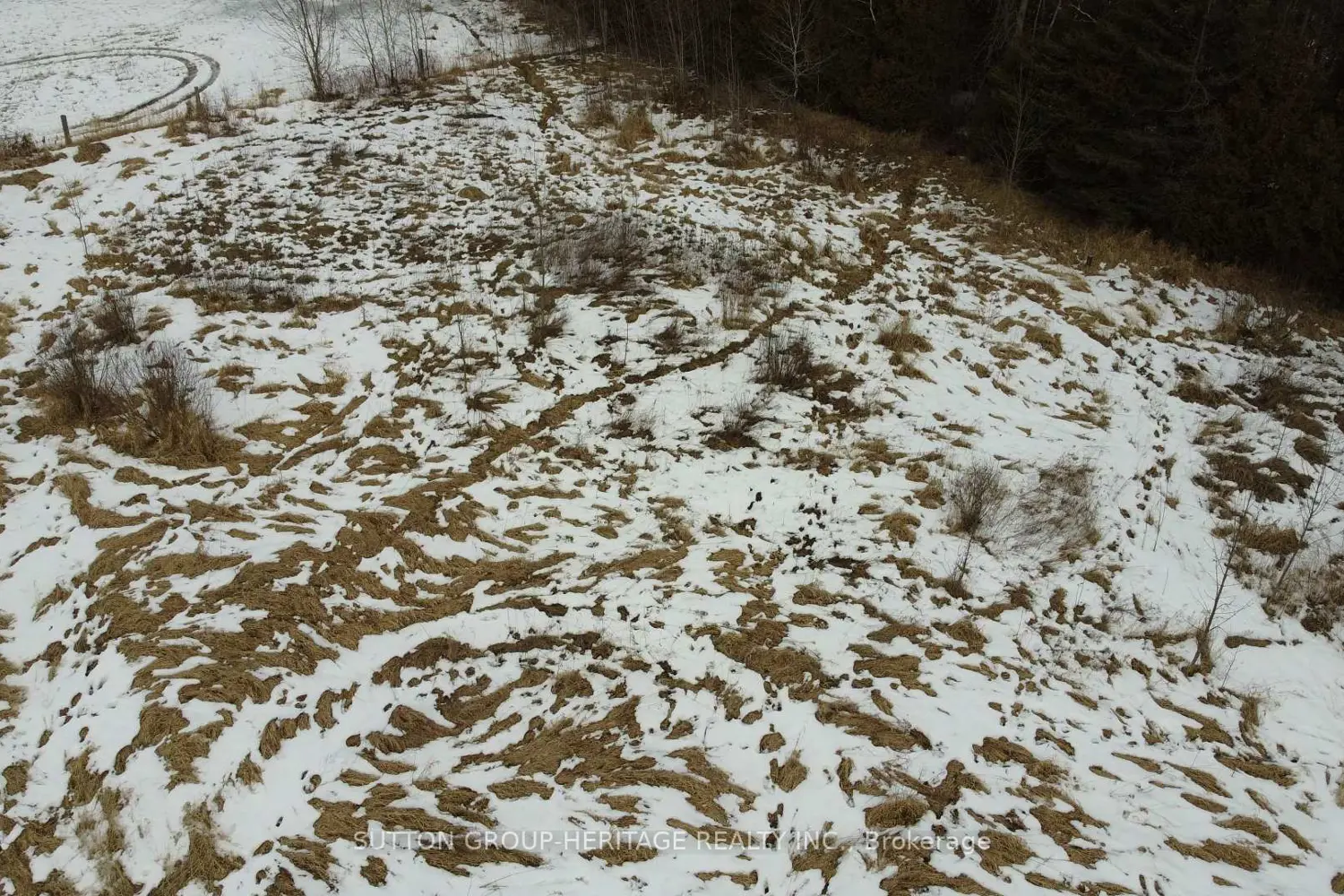 Additional image 10 of Pt Lt 7 Conc 9