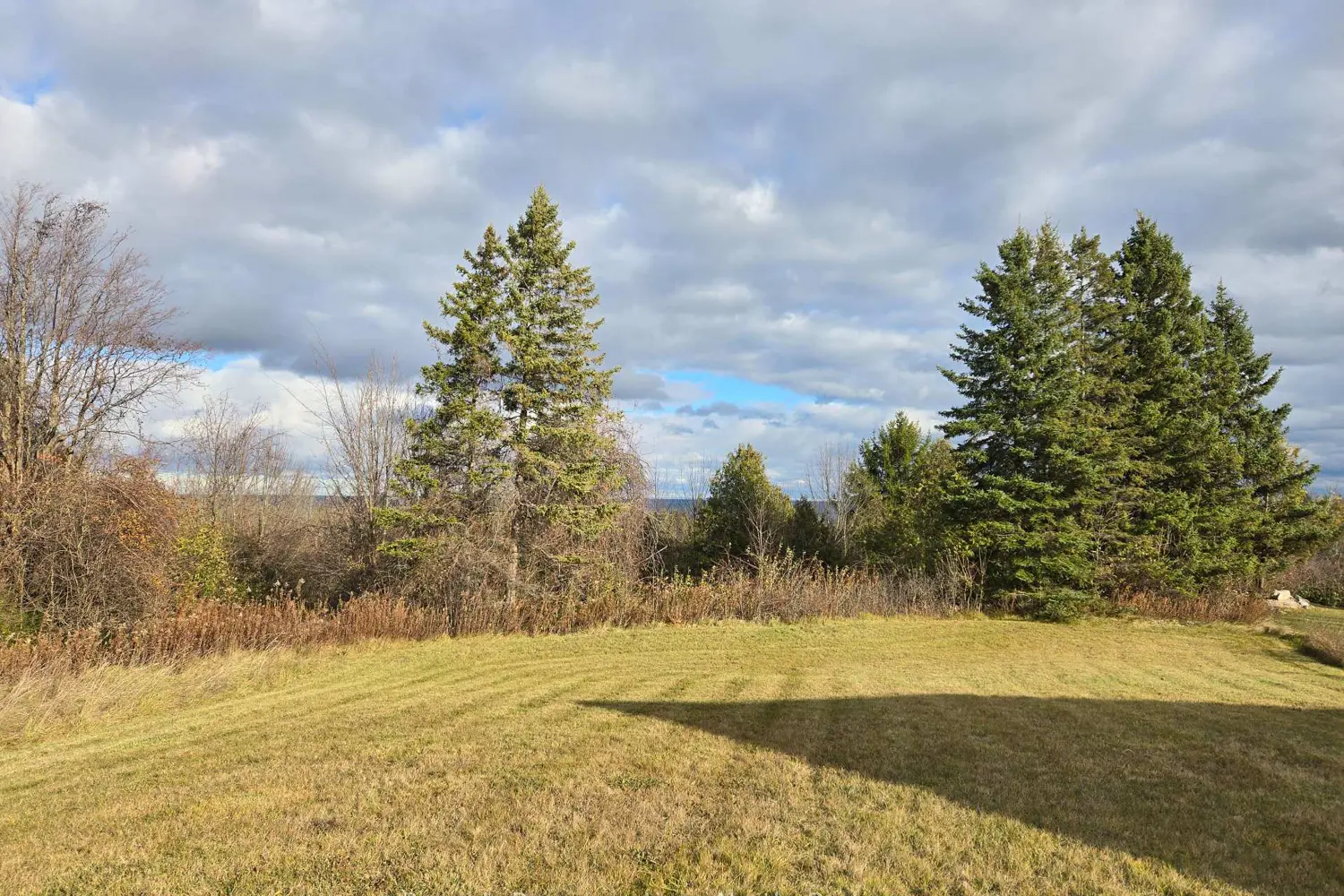 Additional image 4 of 133 Scotia Drive