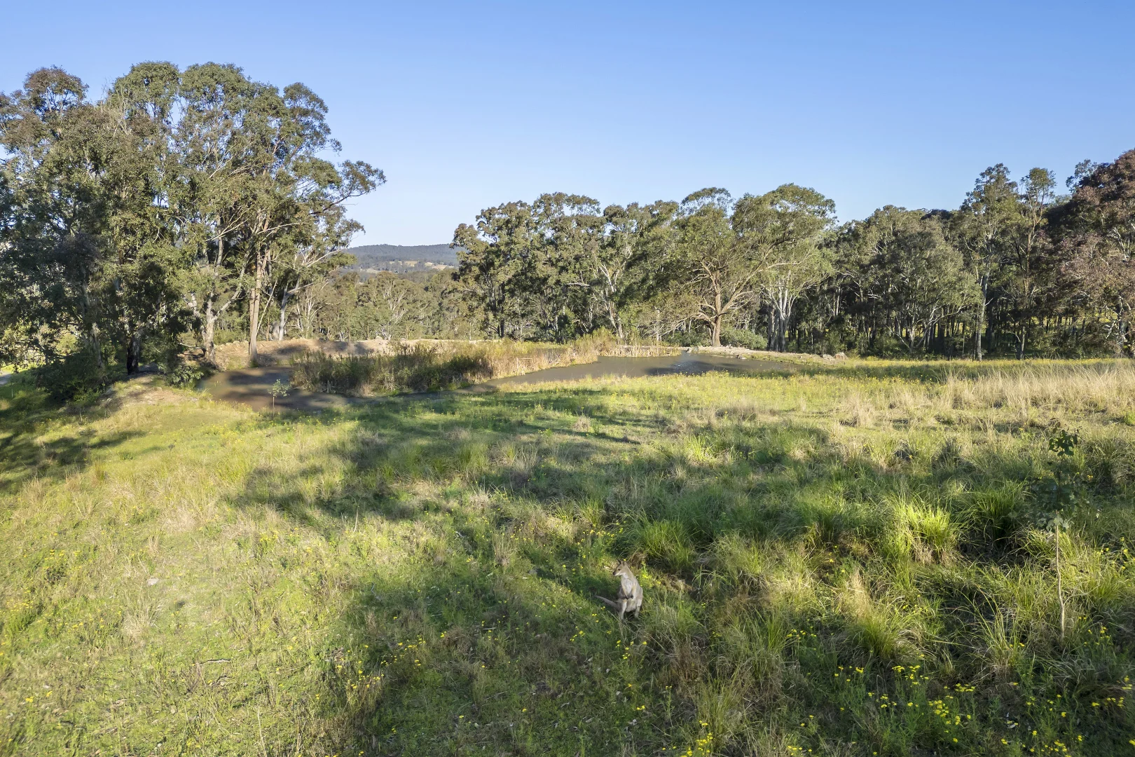 Additional image 20 of 42 Toocan Lane, Flatops via, Dungog NSW 2420