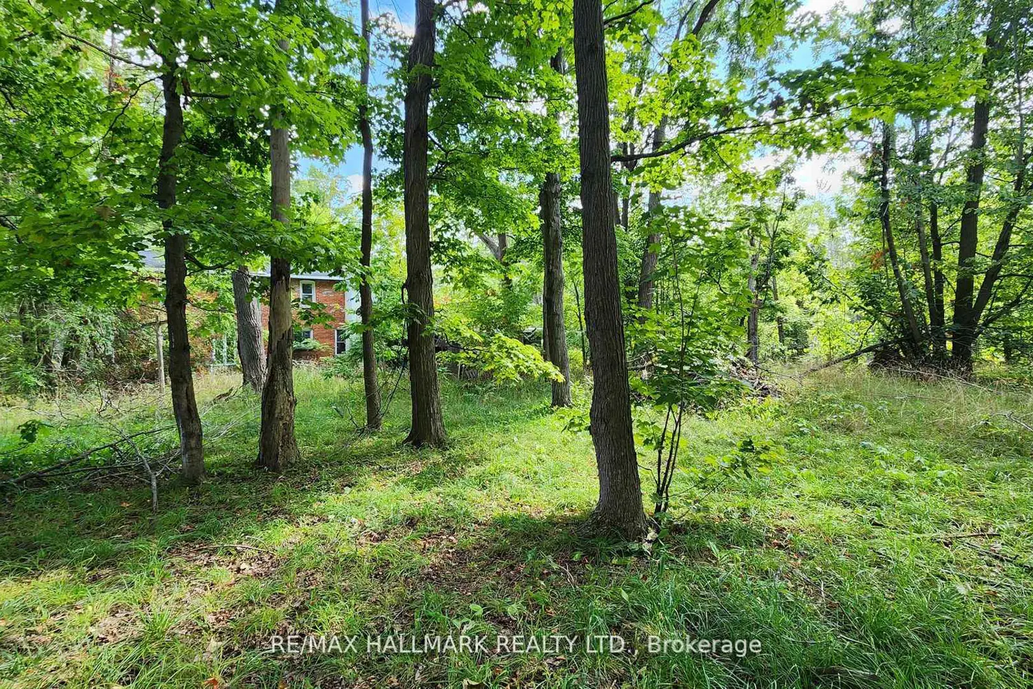 Additional image 19 of 26 Lakeshore Road