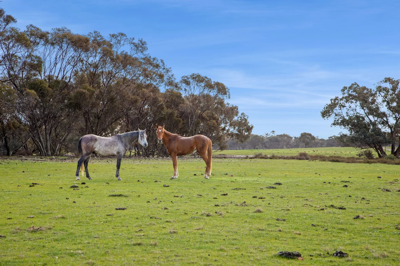 Additional image 3 of Lot 1/753 Clays Road, Bagshot North VIC 3551