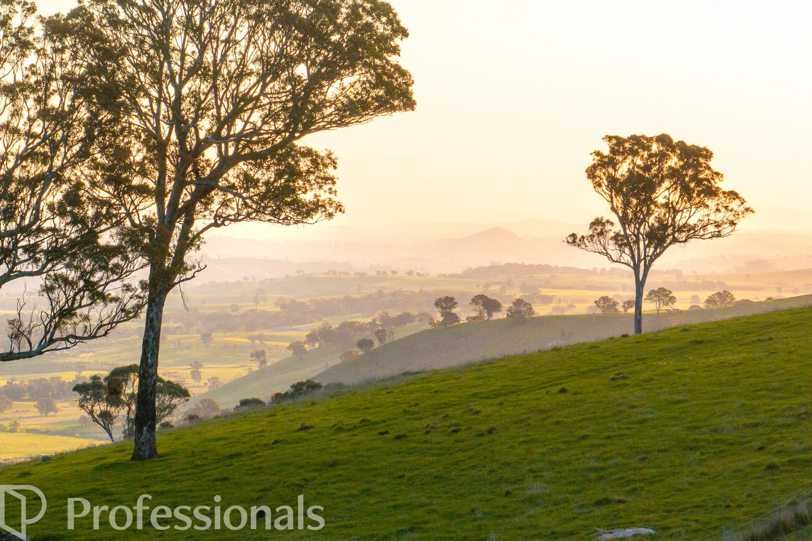 Additional image 53 of 361 Dicksons Lane, Orange NSW 2800