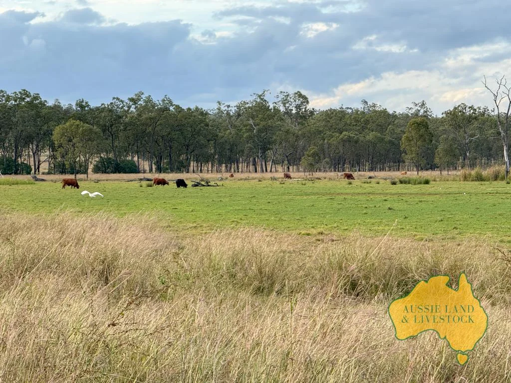 Additional image 28 of 8 SCREENING PLANT ROAD, Cynthia QLD 4627