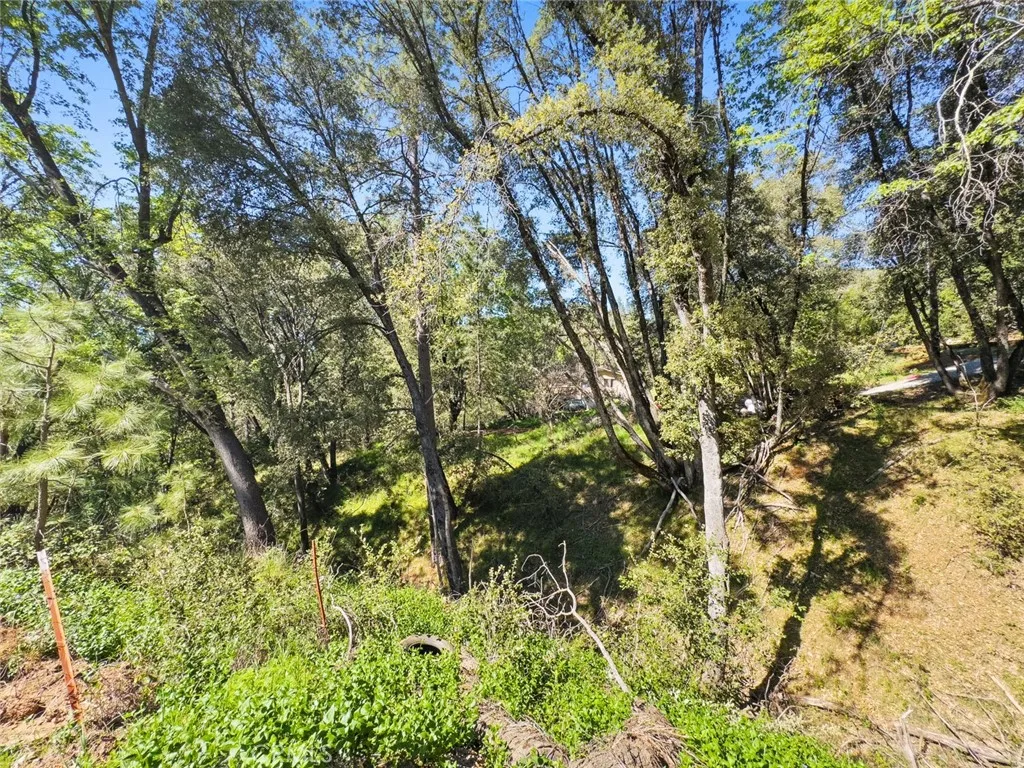 Additional image 48 of 22666 Lower Quail Mine Road, Sonora, CA 95370