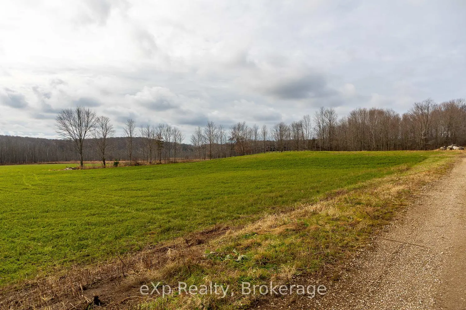 Additional image 6 of 83 C Line Road