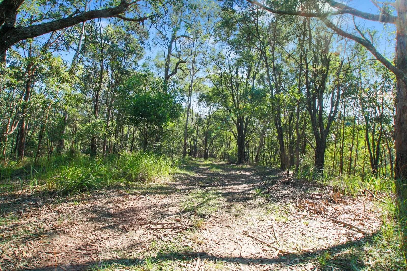Additional image 24 of 94 Holyrood Road, Maudsland QLD 4210